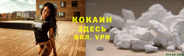 PSILOCYBIN Заволжск