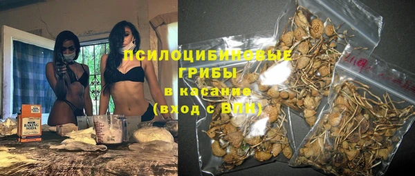 трава Заводоуковск