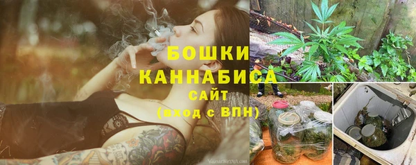 PSILOCYBIN Заволжск