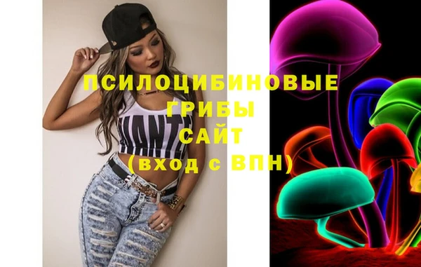 PSILOCYBIN Заволжск