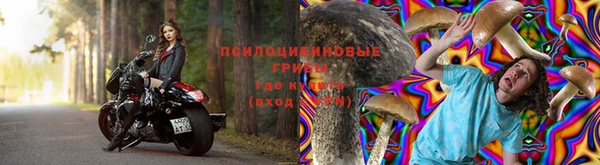 трава Заводоуковск